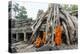 Cambodia, Siem Reap, Angkor Wat Complex. Monks Inside Ta Prohm Temple (Mr)-Matteo Colombo-Premier Image Canvas