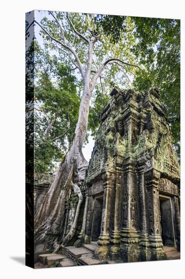 Cambodia, Ta Prohm, Siem Reap Province. the Ruins of the Buddhist Temple of Ta Prohm-Nigel Pavitt-Premier Image Canvas