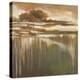 Cambria Fields I-Terri Burris-Stretched Canvas
