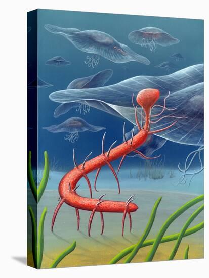 Cambrian Invertebrate, Artwork-Richard Bizley-Premier Image Canvas