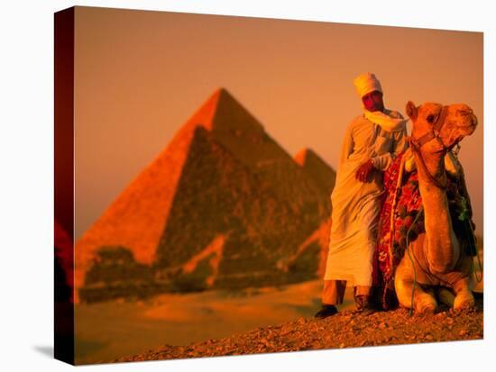 Camel and Driver Resting near the Great Pyramids, Egypt-Alexander Nesbitt-Premier Image Canvas