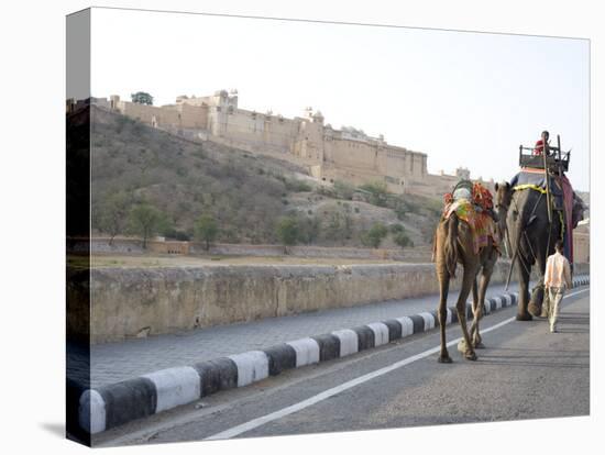 Camel and Elephant Walking Past Amber Fort, Amber, Rajasthan, India, Asia-Annie Owen-Premier Image Canvas