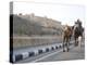 Camel and Elephant Walking Past Amber Fort, Amber, Rajasthan, India, Asia-Annie Owen-Premier Image Canvas