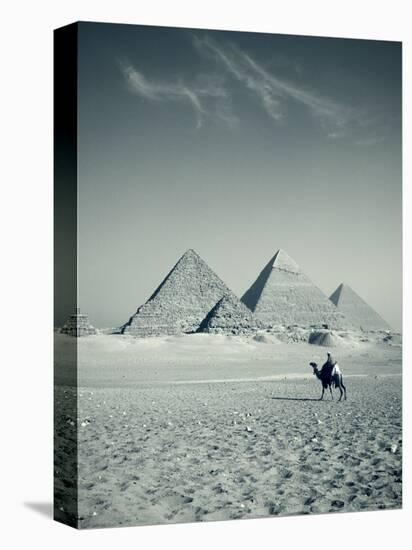 Camel and Giza Pyramids, Giza, Cairo, Egypt-Jon Arnold-Premier Image Canvas