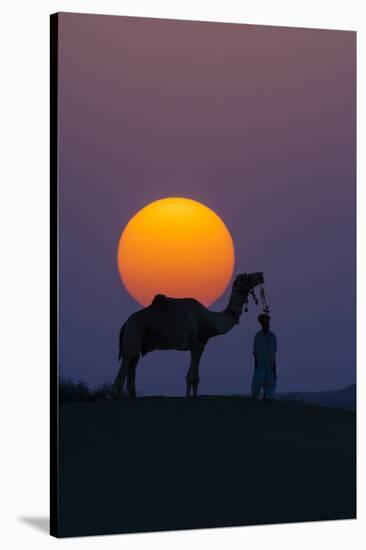 Camel and person at sunset, Thar Desert, Rajasthan, India-Art Wolfe-Premier Image Canvas