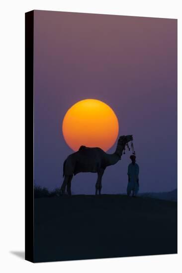 Camel and person at sunset, Thar Desert, Rajasthan, India-Art Wolfe-Premier Image Canvas