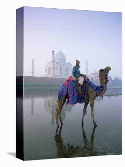 Camel and Rider in Front of the Taj Mahal and Yamuna River, Taj Mahal, Uttar Pradesh State, India-Gavin Hellier-Premier Image Canvas