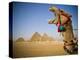 Camel at the Pyramids, Giza, Cairo, Egypt-Doug Pearson-Premier Image Canvas