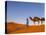 Camel Driver, Sahara Desert, Merzouga, Morocco, (MR)-Doug Pearson-Premier Image Canvas