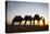 Camel Driver, Sahara Desert, Merzouga, Morocco, North Africa, Africa-Doug Pearson-Premier Image Canvas