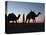 Camel Drivers at Dusk in the Sahara Desert, Near Douz, Kebili, Tunisia, North Africa, Africa-Godong-Premier Image Canvas