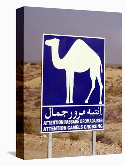 Camel (Dromedary) Crossing Sign, Near Douz, Tunisia-Natalie Tepper-Stretched Canvas