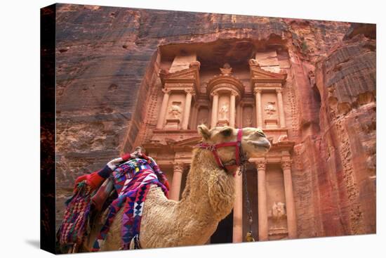 Camel in Front of the Treasury, Petra, Jordan, Middle East-Neil Farrin-Premier Image Canvas