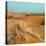 Camel in Sahara Desert-Steven Boone-Premier Image Canvas