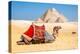 Camel Resting by the Pyramids, Giza, Egypt-Richard Silver-Premier Image Canvas