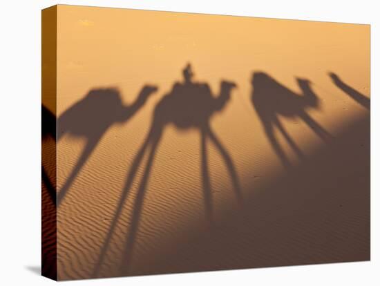Camel Train Shadows, Erg Chebbi, Sahara Desert, Morocco-Peter Adams-Premier Image Canvas