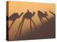 Camel Train Shadows, Erg Chebbi, Sahara Desert, Morocco-Peter Adams-Premier Image Canvas