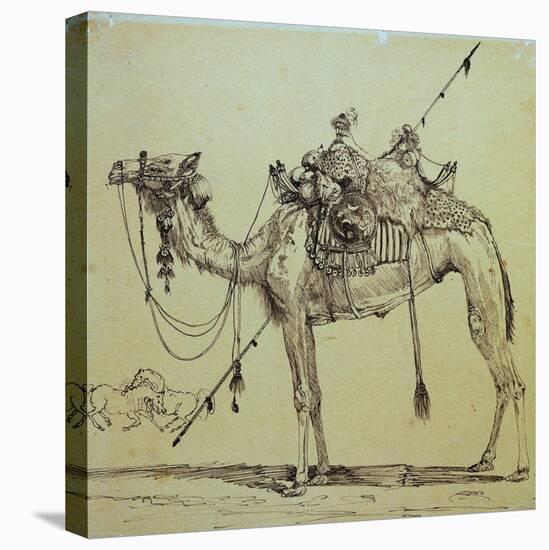 Camel-Rodolphe Bresdin-Premier Image Canvas