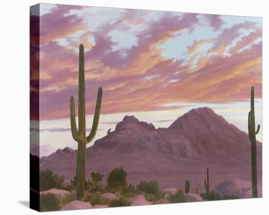 Camelback And The Praying Monk-Ann Mcleod-Stretched Canvas