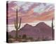 Camelback And The Praying Monk-Ann Mcleod-Stretched Canvas
