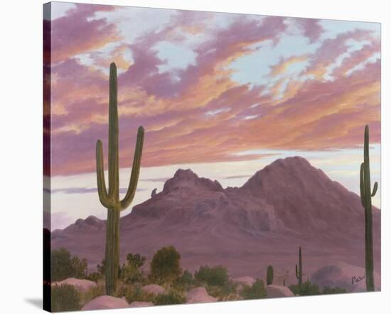 Camelback And The Praying Monk-Ann Mcleod-Stretched Canvas