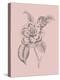 Camelia Blush Pink Flower-Jasmine Woods-Stretched Canvas