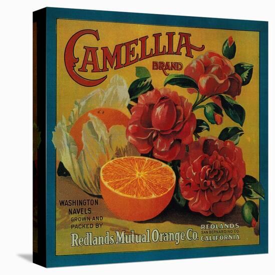 Camellia Orange Label - Redlands, CA-Lantern Press-Stretched Canvas