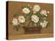 Camellia Tapestry-Pamela Gladding-Stretched Canvas