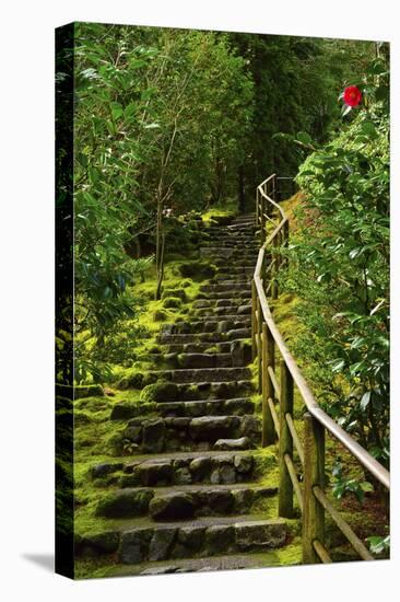 Camellia, Wild Garden, Portland Japanese Garden, Portland, Oregon, Usa-Michel Hersen-Premier Image Canvas