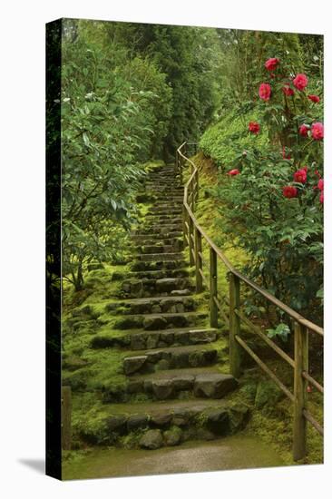 Camellias Steps, Portland Japanese Garden, Portland, Oregon, Usa-Michel Hersen-Premier Image Canvas