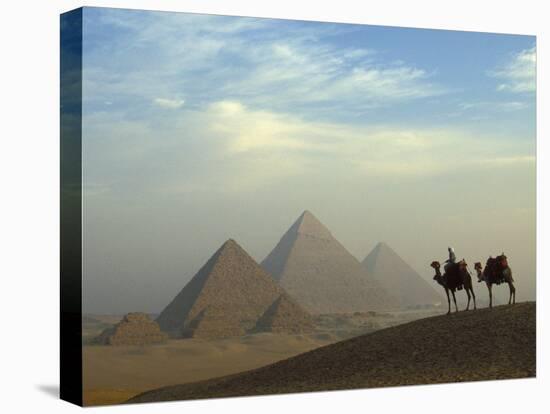 Camels and Driver at the Pyramids Complex, Egypt-Claudia Adams-Premier Image Canvas