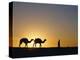 Camels and Guide, Zaafrane, Tunisia, North Africa-David Poole-Premier Image Canvas