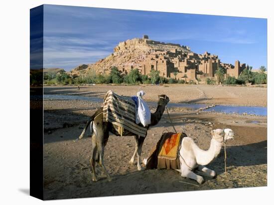 Camels by Riverbank with Kasbah Ait Benhaddou, Unesco World Heritage Site, in Background, Morocco-Lee Frost-Premier Image Canvas