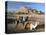 Camels by Riverbank with Kasbah Ait Benhaddou, Unesco World Heritage Site, in Background, Morocco-Lee Frost-Premier Image Canvas