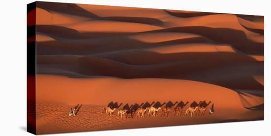 Camels Crossing Amber Dunes, Mauritania-Yann Arthus-Bertrand-Stretched Canvas