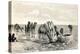 Camels Drinking from a Well in the Sahara Desert-null-Premier Image Canvas