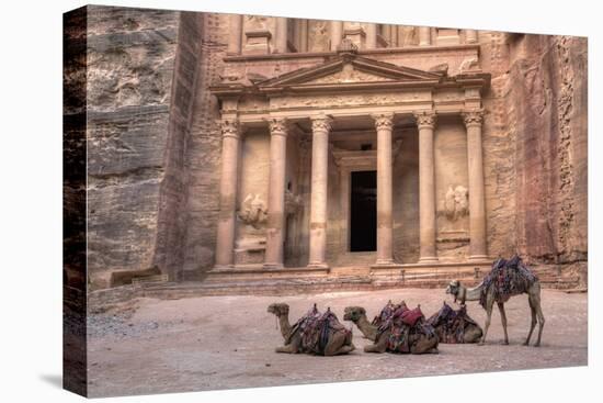 Camels in Front of the Treasury, Petra, Jordan, Middle East-Richard Maschmeyer-Premier Image Canvas