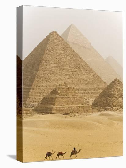Camels Pass in Front of the Pyramids at Giza, Egypt-Julian Love-Premier Image Canvas