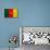 Cameroon Flag Design with Wood Patterning - Flags of the World Series-Philippe Hugonnard-Stretched Canvas displayed on a wall