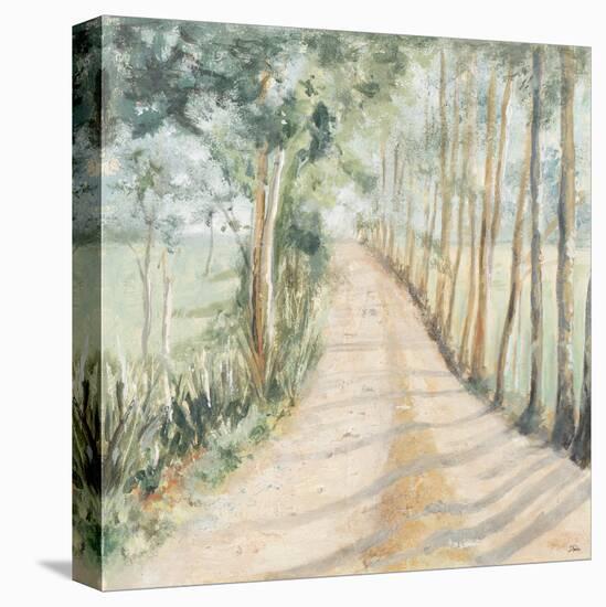 Camino a Casa-Patricia Pinto-Stretched Canvas