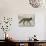 Camouflage Animals - Fox-Tania Bello-Stretched Canvas displayed on a wall