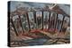 Camp Timberline, Colorado - Large Letter Scenes-Lantern Press-Stretched Canvas