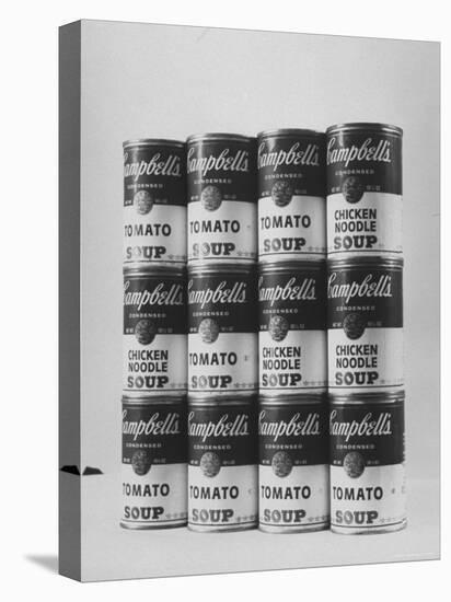 Campbell's Soup Cans Being Used as Example of Pop Culture-Yale Joel-Premier Image Canvas