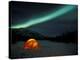 Camper's Tent Under Curtains of Green Northern Lights, Brooks Range, Alaska, USA-Hugh Rose-Premier Image Canvas