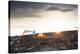 Camping Near The Great Salt Lake-Lindsay Daniels-Premier Image Canvas