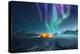 Camping under the Northern Lights-solarseven-Premier Image Canvas