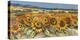 Campo di girasoli-Luigi Florio-Stretched Canvas