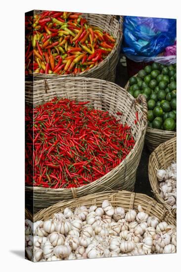 Can Tho Market, Mekong Delta, Vietnam, Indochina, Southeast Asia, Asia-Yadid Levy-Premier Image Canvas