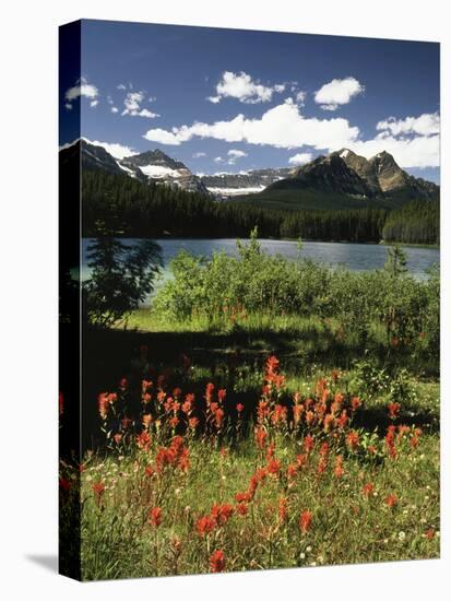 Canada, Alberta, Banff NP, Indian Paintbrush Wildflowers and a Lake-Christopher Talbot Frank-Premier Image Canvas