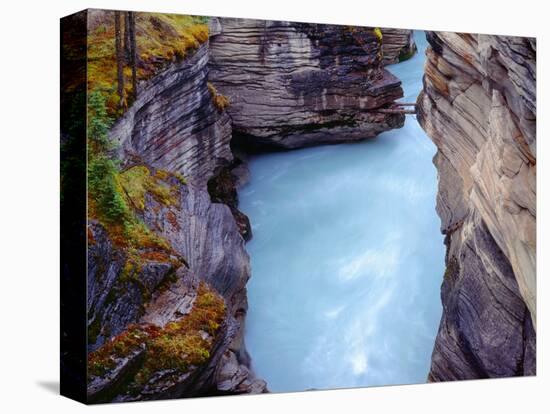 Canada, Alberta, Jasper National Park, Athabasca River Has Cut a Deep Limestone Gorge-John Barger-Premier Image Canvas